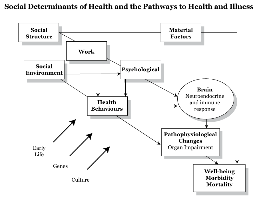 2b. Pathways to Population Health Inequities: Adverse Childhood ...