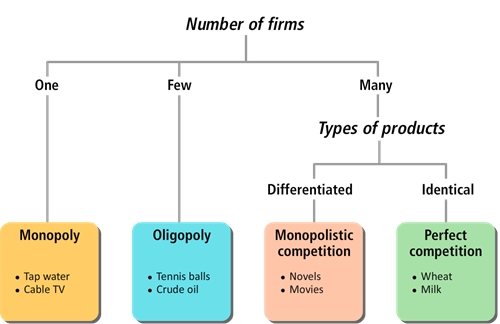 examples of monopoly companies