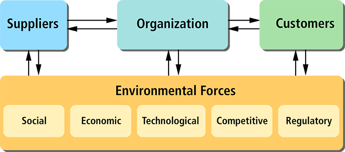 Two way arrows connect the organization to suppliers, customers and environmental forces.