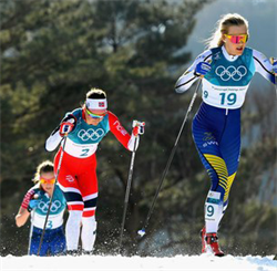 Photo of olympic skiers.