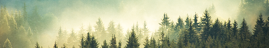 course-banner