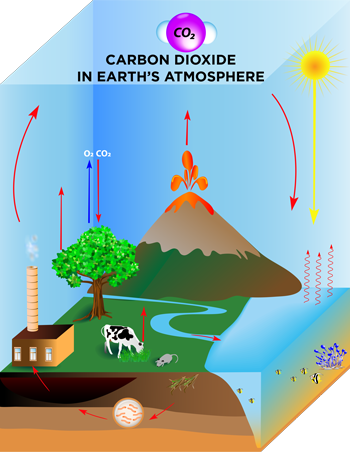 2g. Stocks, Flows and Feedbacks in the Climate System