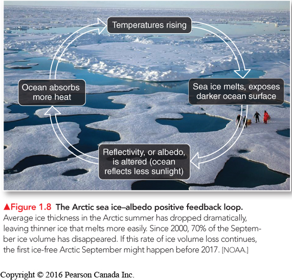 Is The Ice Albedo Feedback Positive Or Negative - Printable Online