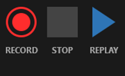 Before recording has started or when it is paused, the recording controls are Record, Stop, and Replay.