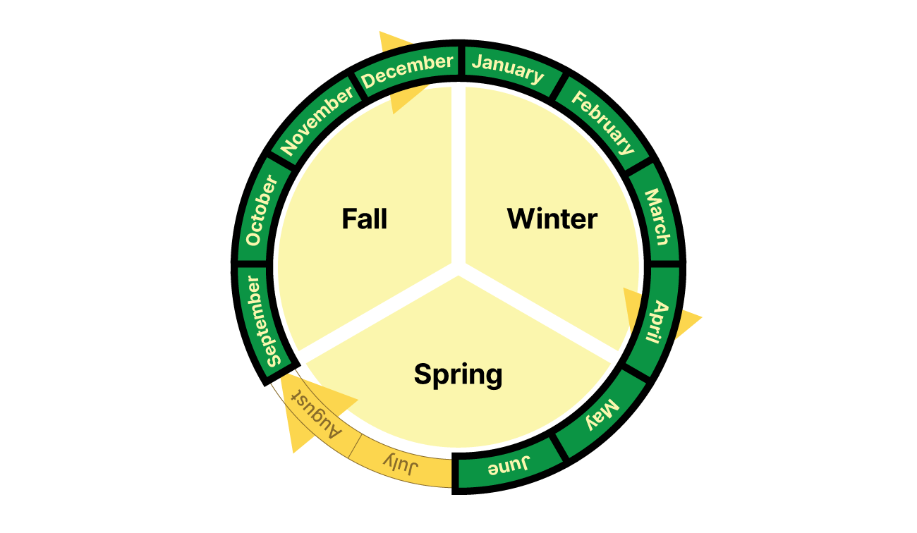 Cyclical calendar showing that committee meetings happen in every month except for July and August.