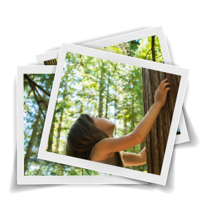 Young girl looking up at tree.