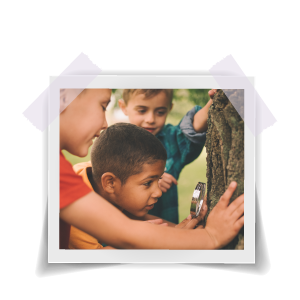 Three boys using a magnifying glass to examine a tree.