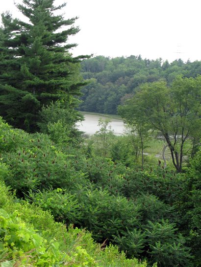 First view of Spongy Lake